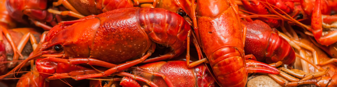 Baker's Gas Pile of crawfish