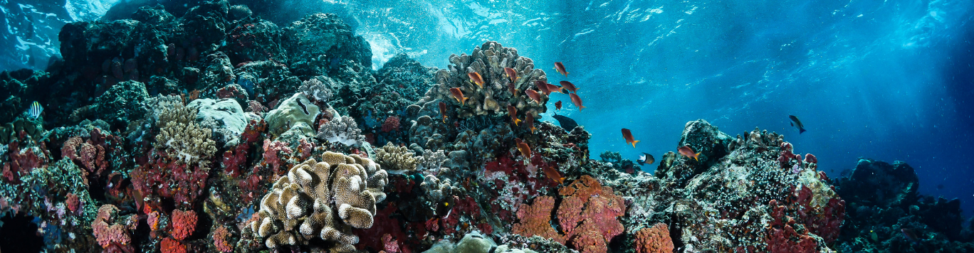 Baker's Gas Underwater