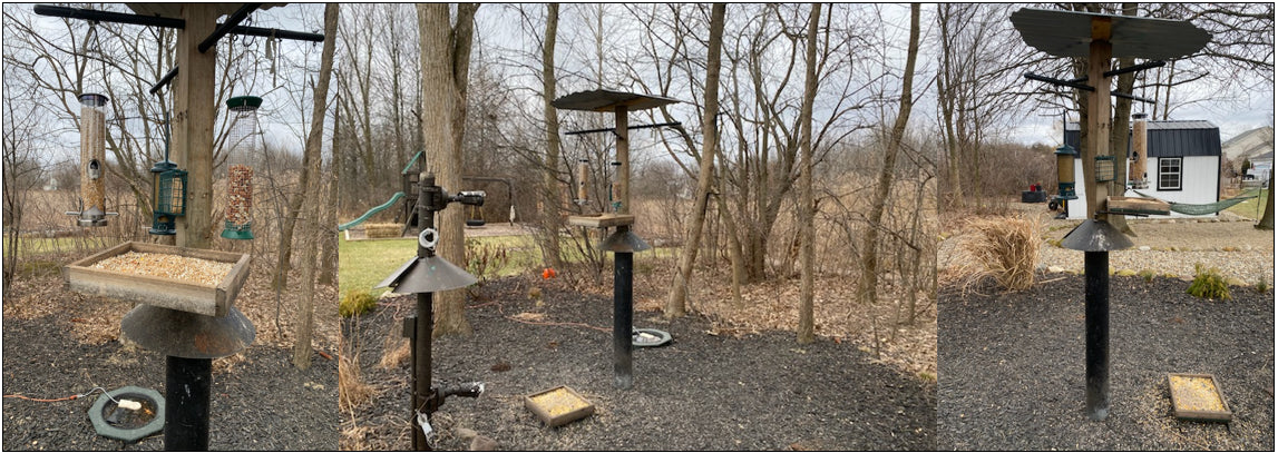 Baker's Gas 6 Welding Projects for the Birds This Spring