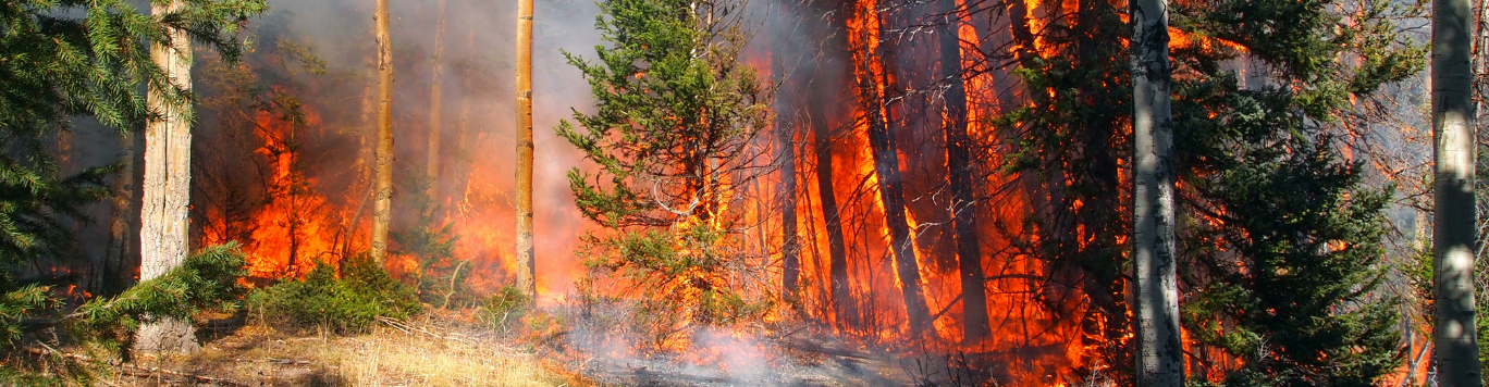 Baker's Gas Raging wildfire