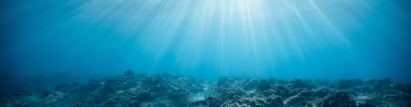 Baker's Gas Underwater